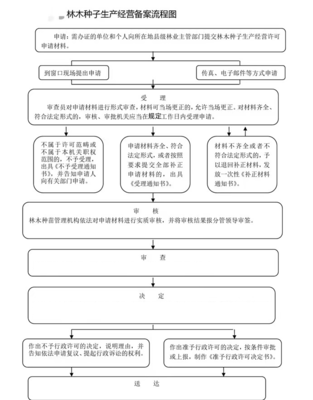 林木種子生產經營備案流程圖