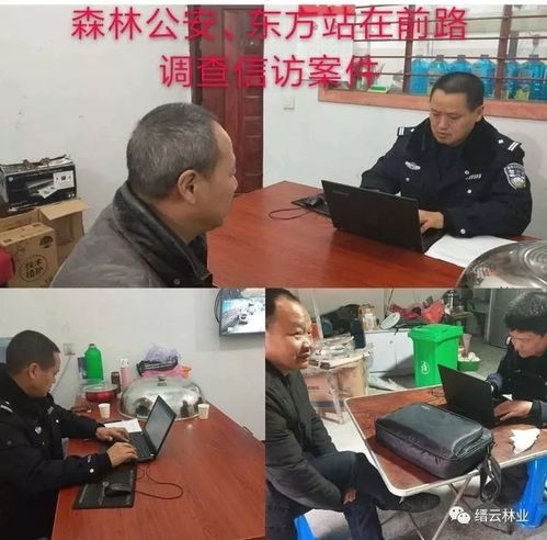 一周林業 看看我們都干了啥