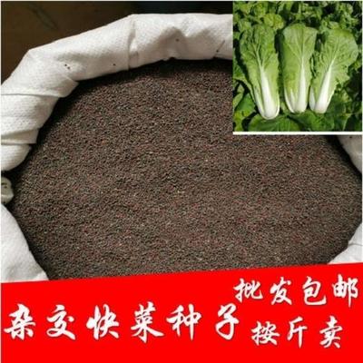 上海市:林業局加快研究地方辦法規范林木種苗生產經營