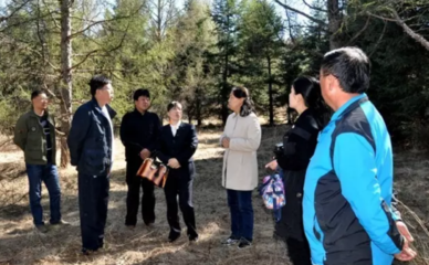 內蒙古大興安嶺重點國有林管理局完成國家林業局林木種子質量抽檢受檢工作