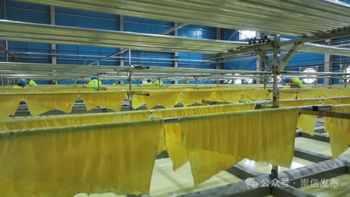 豆 你玩 真的 西北最大豆制品生產線試投產鳳凰網甘肅 鳳凰網