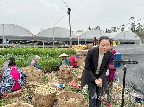 土里燒鍋爐 內江這大姐出了名