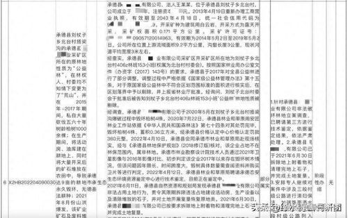 環(huán)保督察督辦重點(diǎn)破壞生態(tài)礦山,為何時(shí)隔一年多仍然無法關(guān)閉