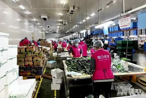 燒光百億 每日優(yōu)鮮,被誰拔了氧氣管