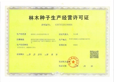 [柑樹苗批發(fā)]柑樹苗 晚熟雜柑新品種綠美人媛小春柑橘苗價(jià)格15元/株