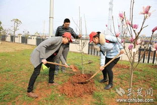 每人 領(lǐng)養(yǎng) 一棵樹 高校植樹節(jié) 種 出新花樣