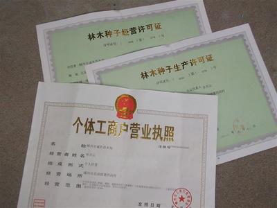 嵊州市誠農苗木場 - 主營紅楓、櫻花、.桂花、海棠、.紅白玉蘭.廣玉蘭、紫薇.重陽木、香樟.紅梅、