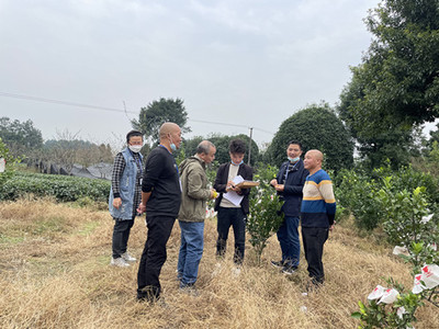 雅安市林業局“雙隨機”執法檢查名山區林木種子種苗生產經營單位