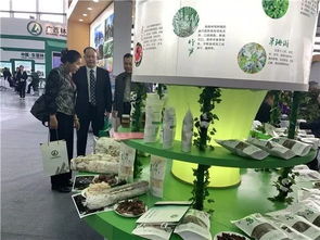 2019中國 東盟博覽會(huì)林木展在南寧開幕 20種名貴蘭花亮相