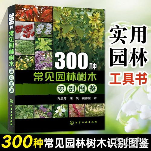 工程技術(shù) 百匯書城的書店 孔夫子舊書網(wǎng)