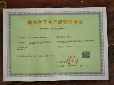 [紅心芭樂番石榴苗批發(fā)]紅心芭樂番石榴苗 價(jià)格25元/棵