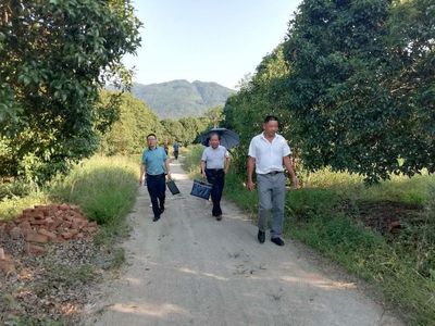 青陽縣開展林草種子生產經營單位“雙隨機、一公開”抽查工作