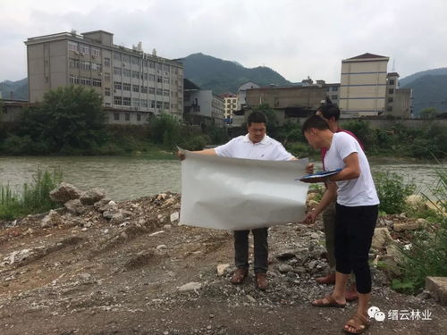 一周林業 看看我們都干了啥