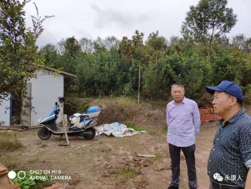 永康市啟動林木種苗生產經營許可事項 雙隨機 抽查