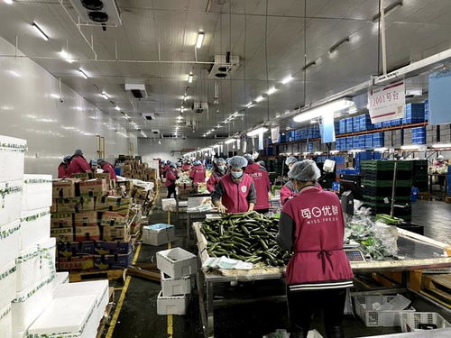 防疫情 穩經濟,上海開啟復工復產 加速度
