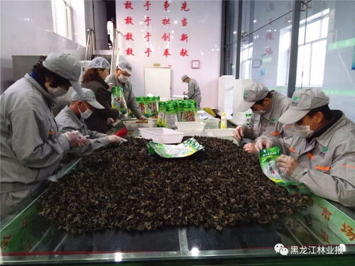 同心共筑夢 啟航新征程