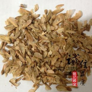 供應正宗美國紅楓種子 美國紅楓秋火焰 林木種子 一級新采 質量保證_世界工廠網