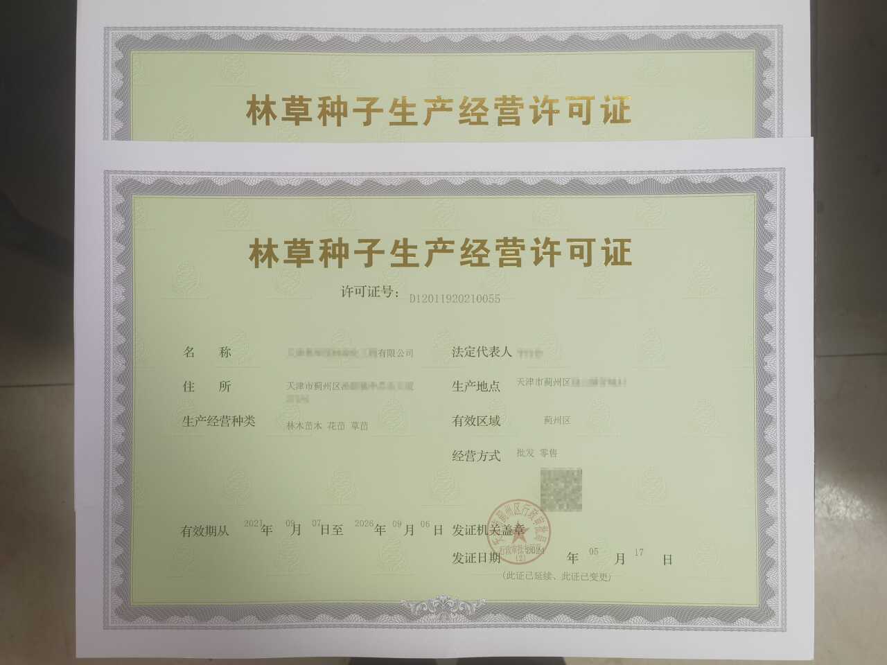 政務(wù)服務(wù)辦深化林草種子生產(chǎn)經(jīng)營許可審批